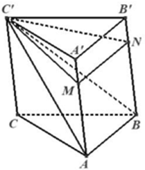 Cho hình lăng trụ ABC.A'B'C'. trên các cạnh AA',BB' lấy các điểm M,N  sao cho  AA'=4A'M,BB'=B'N Mặt phẳng (C'MN_ chia khối lăng trụ thành hai phần. Gọi   là thể tích khối chóp   và   là thể tích khối đa diện   Tính tỷ số   (ảnh 1)
