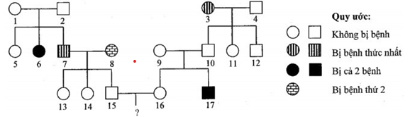 Phả hệ dưới đây mô tả hai bệnh di truyền phân li độc lập với nhau, mỗi bệnh (ảnh 1)