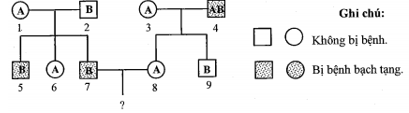Sơ đồ phả hệ hình bên mô tả sự di truyền 2 tính trạng ở người (ảnh 1)