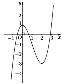Đường cong trong hình vẽ là đồ thị của hàm số nào trong các hàm số dưới đây?   (ảnh 1)