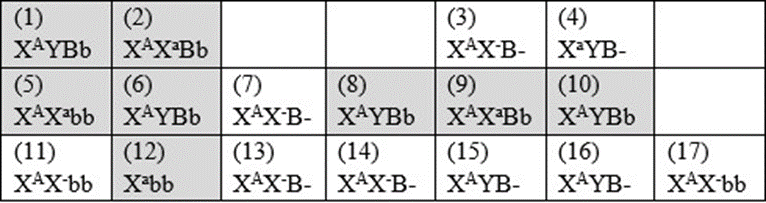 Phả hệ sau đây mô tả sự di truyền của 2 bệnh.   Biết rằng người số 6 không mang alen gây bệnh 1 (ảnh 2)