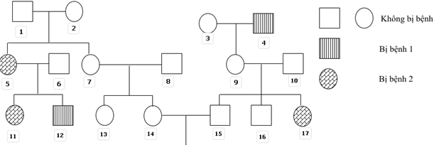 Phả hệ sau đây mô tả sự di truyền của 2 bệnh.   Biết rằng người số 6 không mang alen gây bệnh 1 (ảnh 1)