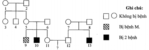 Ở người, bệnh M và bệnh N là hai bệnh do đột biến gen lặn nằm ở vùng không tương đồng (ảnh 1)