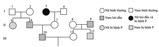 Cho sơ đồ phả hệ sau Biết rằng hai cặp gen qui định hai tính trạng (ảnh 1)
