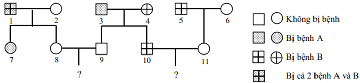 Sơ đồ phả hệ dưới đây mô tả sự di truyền của 2 bệnh A và B ở người (ảnh 1)