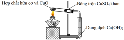 Cho hình vẽ mô tả quá trình xác định C và H trong hợp chất hữu cơ như sau: Hiện tượng xảy ra trong  (ảnh 1)