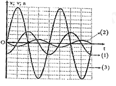 Một học sinh khảo sát dao động điều hòa của một chất điểm dọc theo trục Ox (gốc tọa độ O tại vị trí cân bằng) (ảnh 1)