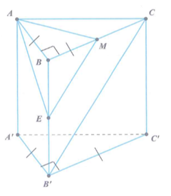 Cho lăng trụ đứng tam giác ABC.A'B'C'  có đáy là một tam giác vuông cân tại B, AB = BC = a,AA' = a căn bậc 2 của 2 (ảnh 1)