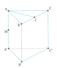 Cho lăng trụ tam giác đều ABC.A'B'C'  có cạnh đáy bằng a, cạnh bên bằng 2a (ảnh 1)