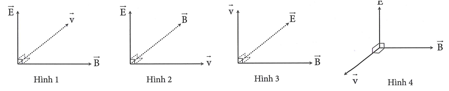 Trong các hình sau, hình nào diễn tả đúng phương và chiều của cường độ điện  (ảnh 1)