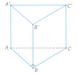 Cho hình lăng trụ đứng ABC.A'B'C' có đáy ABC là tam giác vuông cân tại B. Biết ACC'A' là hình vuông và AB = a. Tính thể tích V của khối trụ ngoại tiếp lăng trụ đã cho. (ảnh 1)