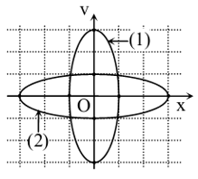 ho hai vật dao động điều hoà dọc theo hai đường thẳng cùng song song với trục Ox. (ảnh 1)