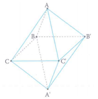 Số mặt đối xứng của bát diện đều là a 1 b 6 c 9 d 7 (ảnh 1)
