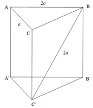 Cho hình lăng trụ đứng ABCA'B'C' có đáy ABC là tam giác vuông tại C (ảnh 1)
