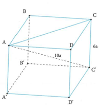 Cho lăng trụ tứ giác đều ABCD.A'B'C'D' có chiều cao bằng 6a và đường chéo 10a. Thể tích khối lăng trụ này là (ảnh 1)
