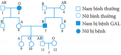 Phả hệ bên mô tả sự di truyền (ảnh 1)
