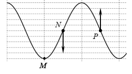 Sóng ngang truyền trên một sợi dây rất dài từ M đến N rồi đến P với bước sóng (ảnh 1)