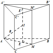 Cho lăng trụ tam giác đều có cạnh đáy bằng a cạnh bên bằng b (ảnh 1)