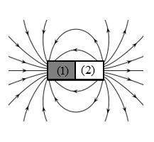 Một nam châm gồm có hai cực từ (1) và (3). Từ trường mà nam châm này (ảnh 1)
