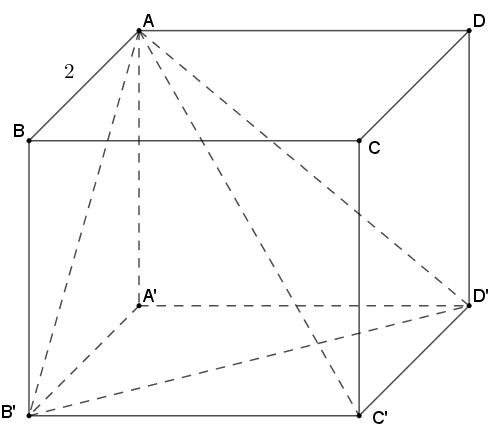 Nếu hình lập phương A.B.C.D.A'.B'.C'.D'  có  thì thể tích của khối tứ diện A.B'.C'.D' bằng (ảnh 1)