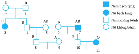 Ở người, gen quy định nhóm (ảnh 1)
