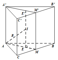Cho lăng trụ tam giác đều có cạnh đáy bằng a  cạnh bên bằng b .  (ảnh 1)