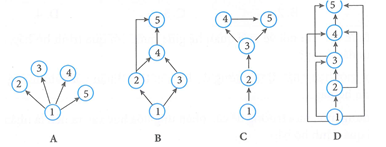 Bốn lưới thức ăn A, B, C và D dưới (ảnh 1)