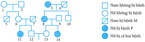 Phả hệ ở hình bên mô tả sự di tr (ảnh 1)