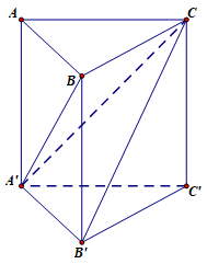 Cho hình lăng trụ đứng ABCA'B'C' có đáy ABC là tam giác vuông tại A (ảnh 1)