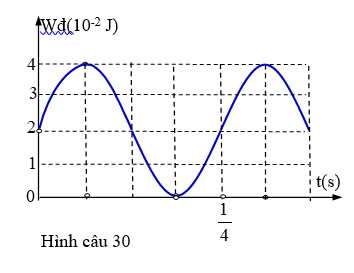 Đồ thị biểu diễn động năng của một vật m = 200g dao động điều hòa ở hình vẽ bên ứng (ảnh 1)