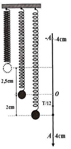 Một con lắc lò xo có k = 100 N/m treo thẳng đứng với giá treo, đầu dưới gắn (ảnh 1)
