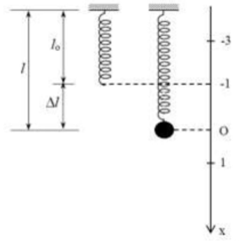 Con lắc lò xo treo thẳng đứng gồm lò xo có độ cứng k = 100 N/m, vật nhỏ khối lượng (ảnh 1)