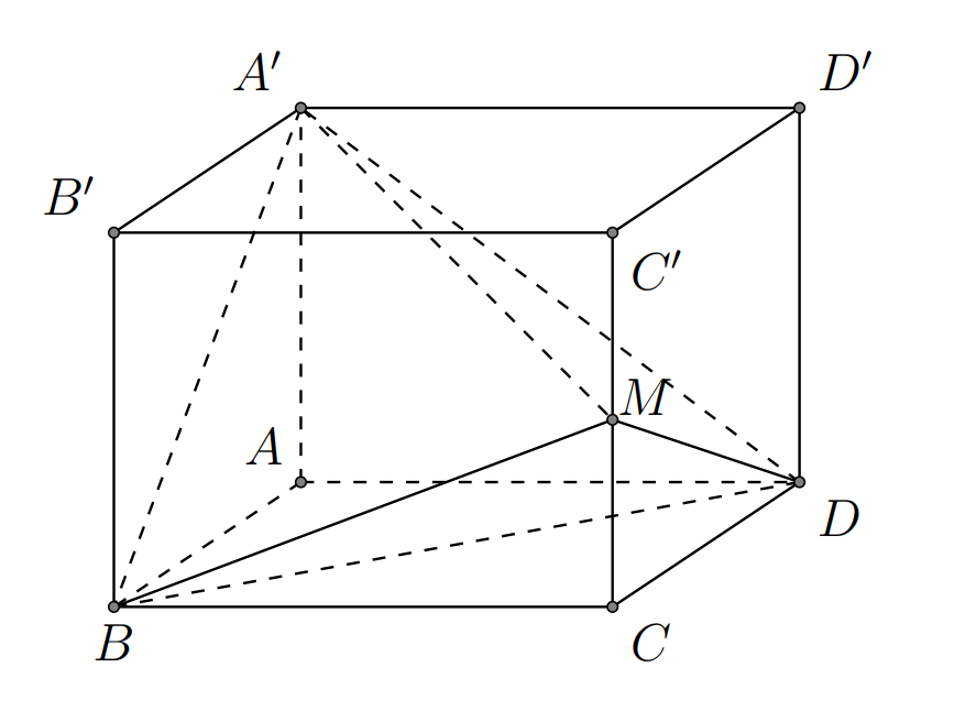 Câu 43: Cho hình hình hộp chữ nhật  có đáy là hình vuông cạnh  chiều cao  Gọi  là trung điểm của  Tính thể tích của khối tứ diện  (ảnh 1)