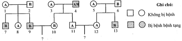 Sơ đồ phả hệ hình dưới đây mô tả sự di truyền 2 tính trạng ở người (ảnh 1)