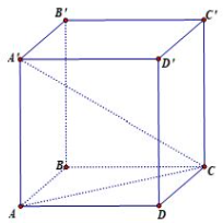 Tính thể tích \[V\] của khối lăng trụ tứ giác đều \(ABCD.A'B'C'D'\) biết độ dài cạnh đáy của lăng trụ bằng \[2\] đồng thời góc tạo bởi \(A'C\) và đáy \[\left( {ABCD} \right)\] bằng \[30^\circ (ảnh 1)