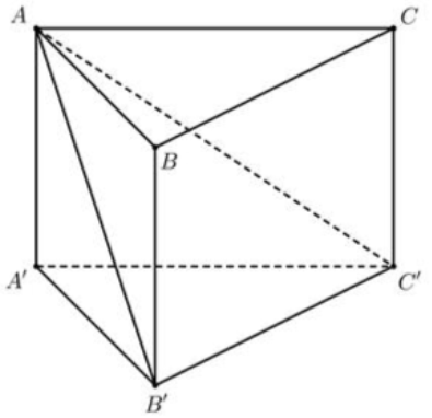 Cho khối lăng trụ \(ABC.A'B'C'\) có thể tích \(V.\) Tính thể tích của khối chóp tứ giác \(ABCC'B'.\)  (ảnh 1)
