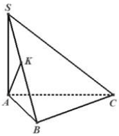 Cho hình chóp \(S.ABC\) có \(SA \bot \left( {ABC} \right),\) hai mặt phẳng \(\left( {SAB} \right)\) và \(\left( {SBC} \right)\) vuông góc với nhau, \(SB = a\sqrt 3 ,\widehat {BSC} = {45^0},\w (ảnh 1)