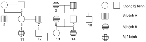 Phả hệ ở hình dưới đây mô tả sự di truyền 2 bệnh ở người, mỗi bệnh đều do một gen có 2 alen quy định  (ảnh 1)