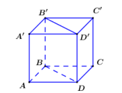 Cho hình lập phương ABCD.A'B'C'D'. Góc giữa hai đường thẳng AB và B'D' bằng (ảnh 1)