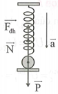 Một con lắc lò xo treo thẳng đứng gồm vật nặng khối lượng m = 1kg, lò xo nhẹ có độ cứng (ảnh 1)