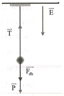 Một con lắc đơn có khối lượng quả cầu 200 g, dao động điều hòa với biên độ nhỏ có chu kì  (ảnh 1)