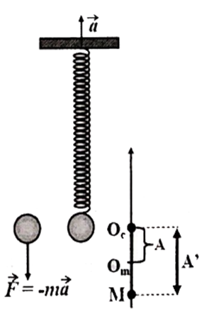 Một con lắc lò xo gồm lò xo có độ cứng k = 100 N/m và vật nặng (ảnh 1)