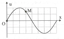 Trên một sợi dây có sóng ngang hình sin truyền qua theo chiều dương của trục Ox. Tại thời điểm (ảnh 1)