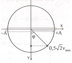 Một chất điểm dao động điều hòa theo trục Ox. Ở thời điểm ban đầu vật đi qua vị trí cân bằng (ảnh 1)