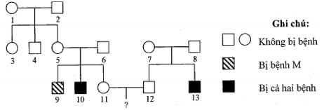 Ở người, bệnh A và bệnh B là hai bệnh do đột biến gen lặn nằm ở vùng không tương đồng (ảnh 1)