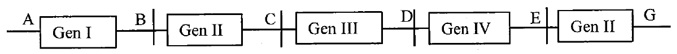 Giả sử một đoạn nhiễm sắc thể có 5 gen I, II, III, IV, V được phân bố ở 5 vị trí. (ảnh 1)