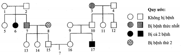 Phả hệ dưới đây mô tả hai bệnh di truyền phân li độc lập với nhau, (ảnh 1)