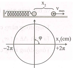 Một vật có khối lượng m1 = 1,25kg mắc vào lò xo nhẹ có độ cứng k = 200 N/m, đầu kia  (ảnh 1)