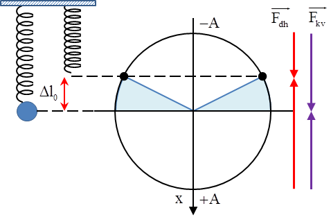 Một con lắc lò xo treo thẳng đứng, tại vị trí cân bằng lò xo dãn 4 cm (ảnh 1)