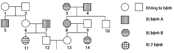 Phả hệ ở hình dưới đây mô tả sự di truyền 2 bệnh ở người, mỗi bệnh đều do một gen có 2 alen  (ảnh 1)